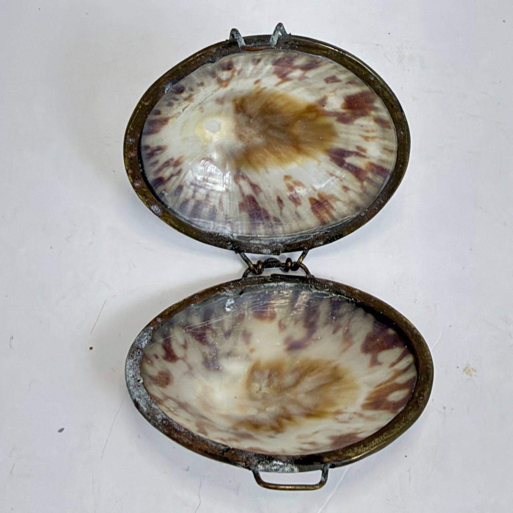 Antique Victorian Tiger Cowrie Shell Coin Purse Brass Frame Trinket Box 2.25in